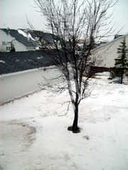 Rain in February Rain in February